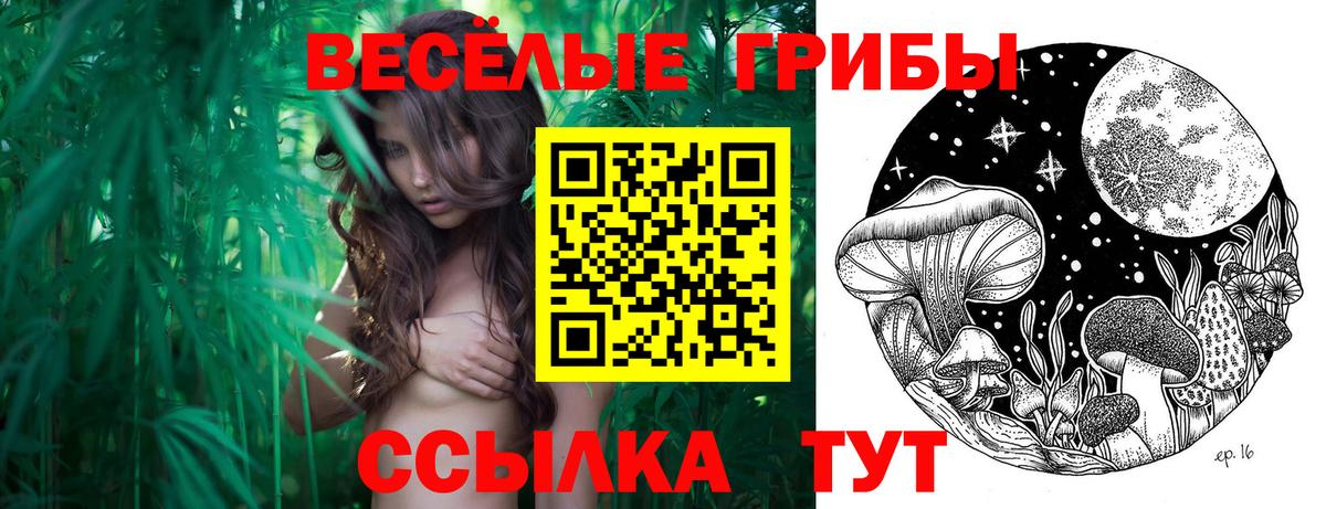 Галлюциногенные грибы мухоморы Лосино-Петровский