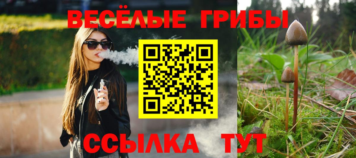 Лосино-Петровский  Галлюциногенные грибы GOLDEN TEACHER  Вход с VPN 